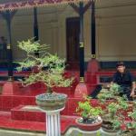 Koleksi foto Dewa Putra nomor 1 - Member Alapirabi, Kontak Jodoh Umat Se-Dharma, Hindu Dating